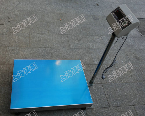 ������U�Ƅ�(d��ng)ʽ300kg����_(t��i)��