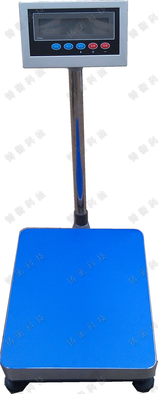 ����_(t��i)��