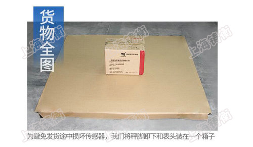 標(biāo)準(zhǔn)地秤