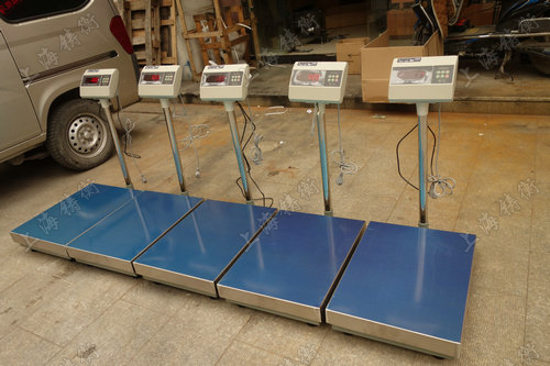 ����_(t��i)��