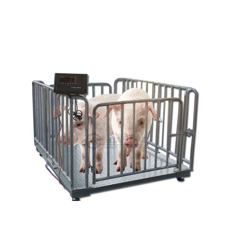 ���i����ӳӎ��������Ԅӳ��i��ӡ�����ӵس�