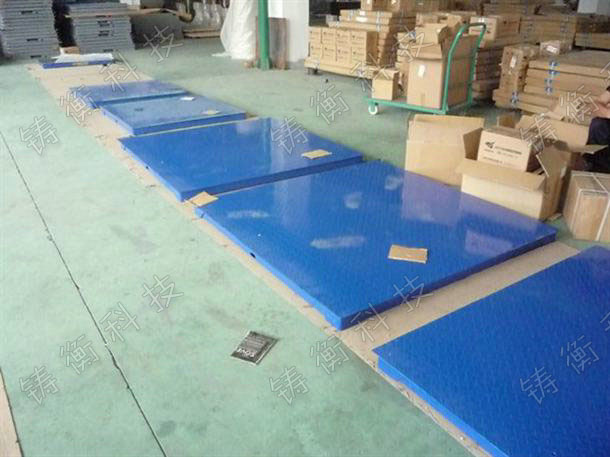 標(biāo)準(zhǔn)地秤