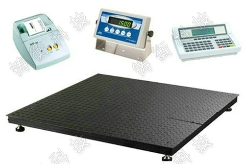 標(biāo)準(zhǔn)地秤