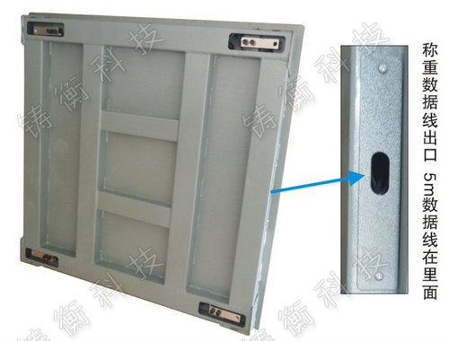 標(biāo)準(zhǔn)地秤