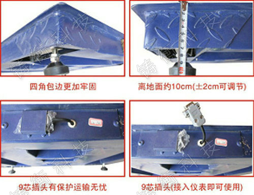 標(biāo)準(zhǔn)地秤