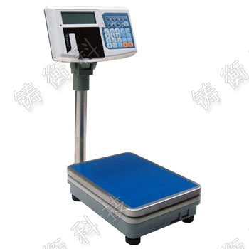 電子計數(shù)臺秤