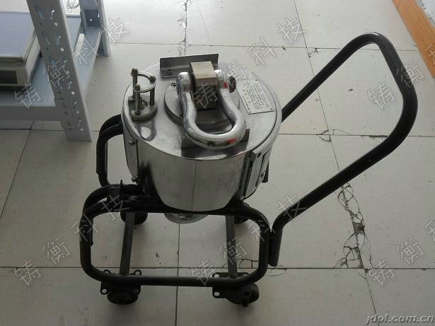 無(wú)線吊鉤秤