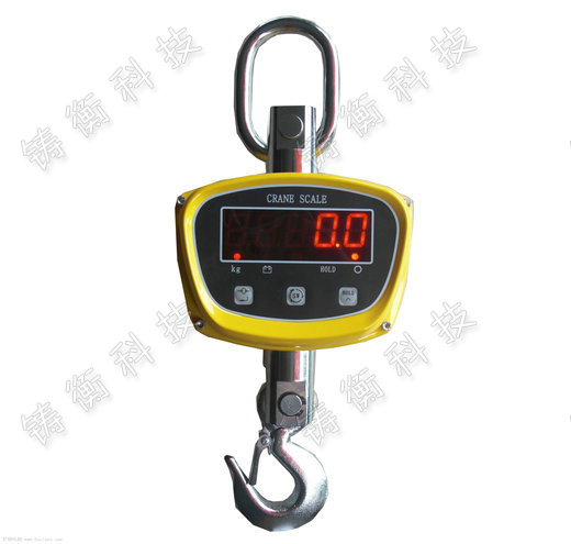 直視吊鉤秤